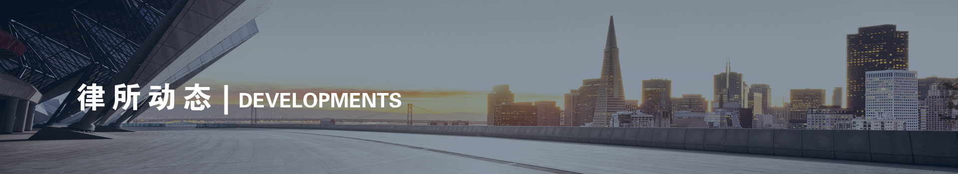 律所动态
