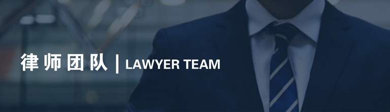 律师团队